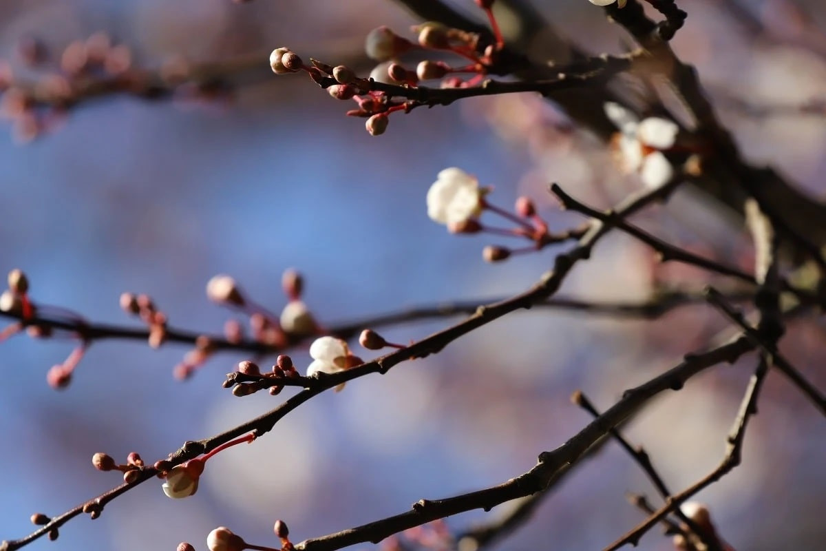 بۇگىن اۋا رايى قانداي بولادى؟