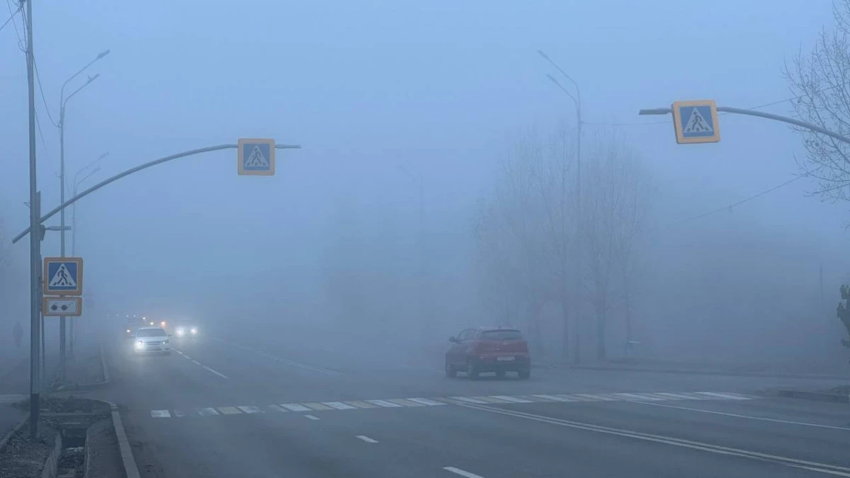 تۇمان, جەل, جاڭبىر: 6 ساۋىرگە ارنالعان اۋا رايى بولجامى جاريالاندى