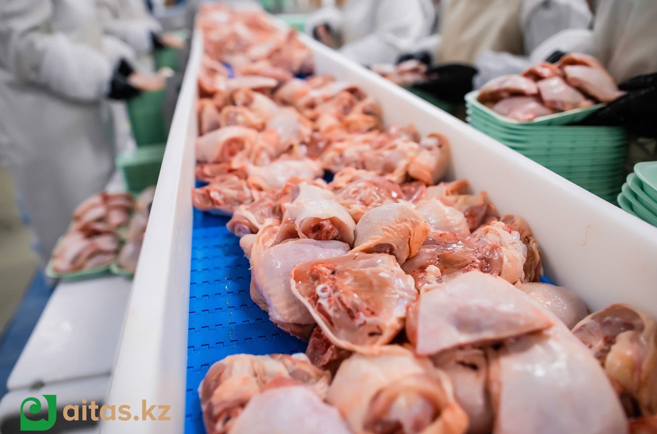 اقمولا وبلىسى كوش باستاپ تۇر