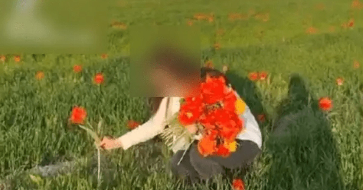 تۇركىستان وبلىسىندا قىزعالدىق جۇلعان بويجەتكەن جاۋاپقا تارتىلادى