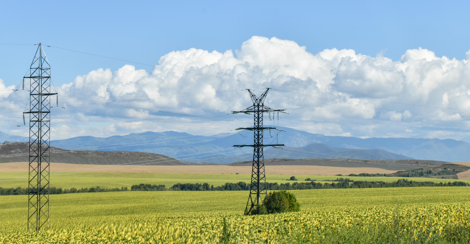 توتەنشە تىيىمنىڭ توركىنى نەدە؟