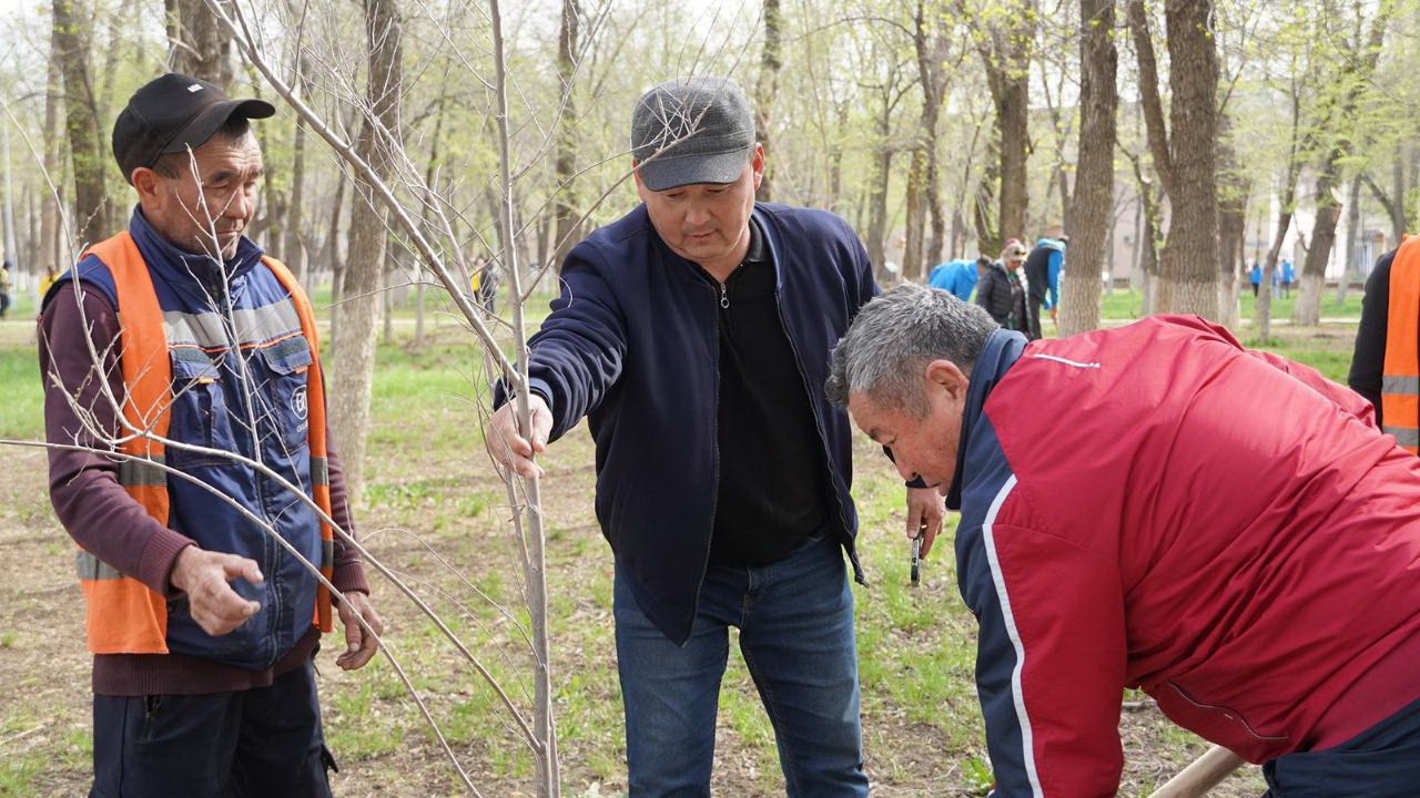 كوشەتتەن – سايالى باققا