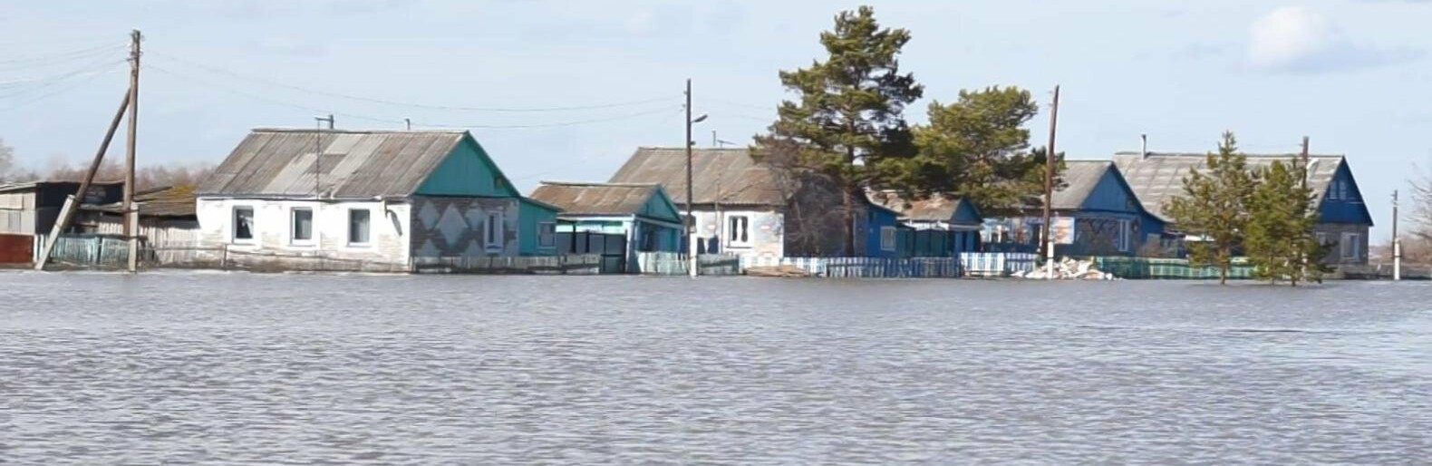 كوپتىڭ قولداۋى سەزىلەدى