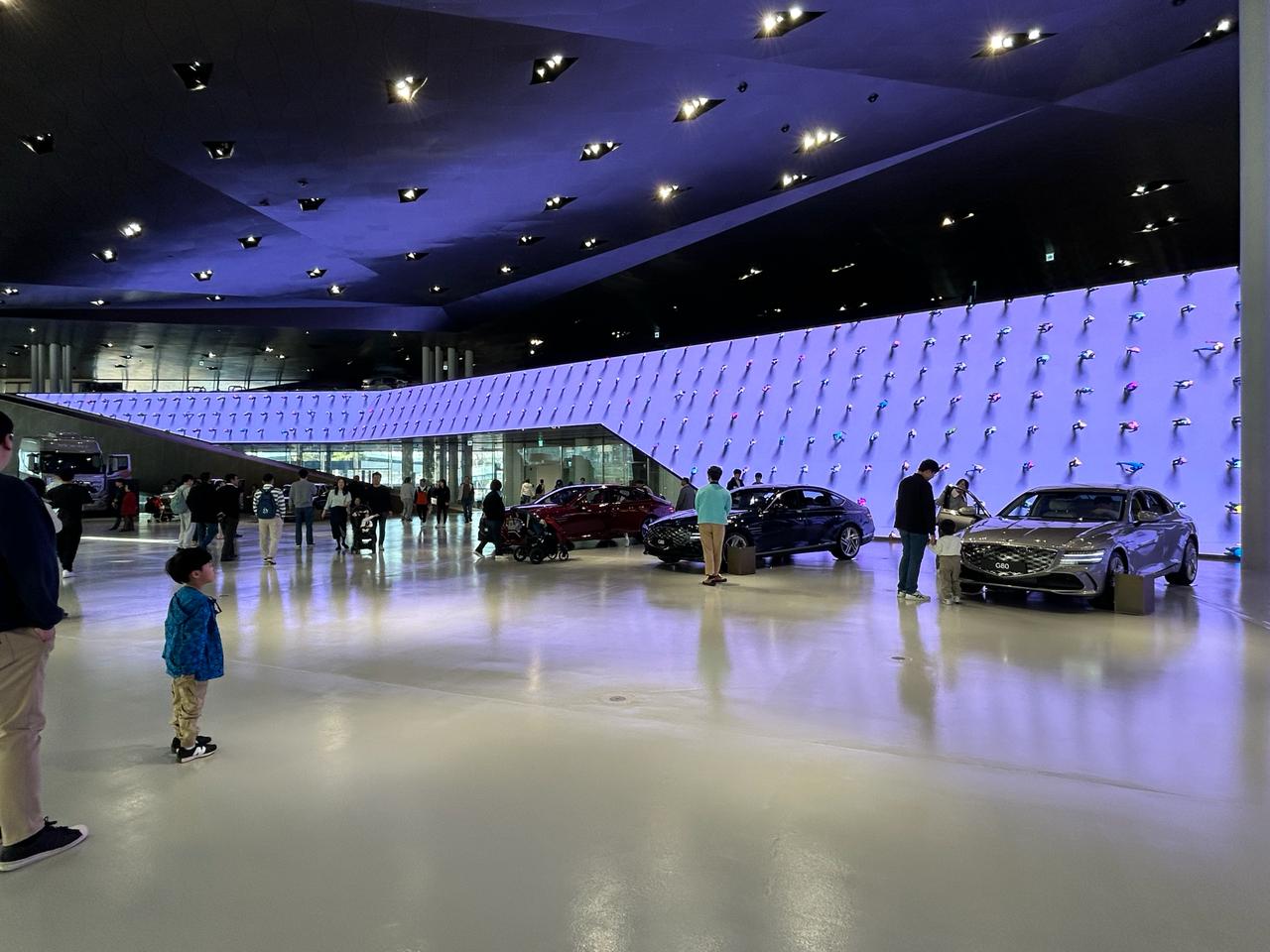 ونەگە بولارلىق كورەيا