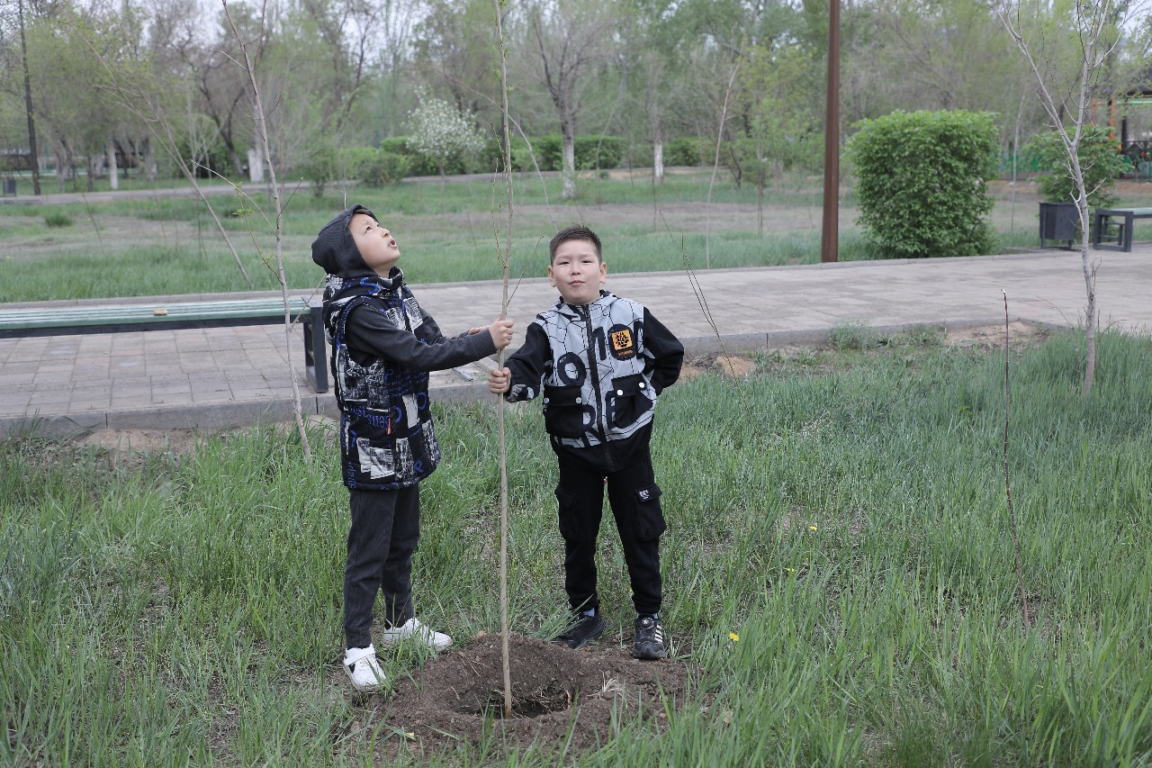  ۇلىتاۋ وبلىسىندا 18 ميلليون ءتۇپ اعاش وتىرعىزىلادى