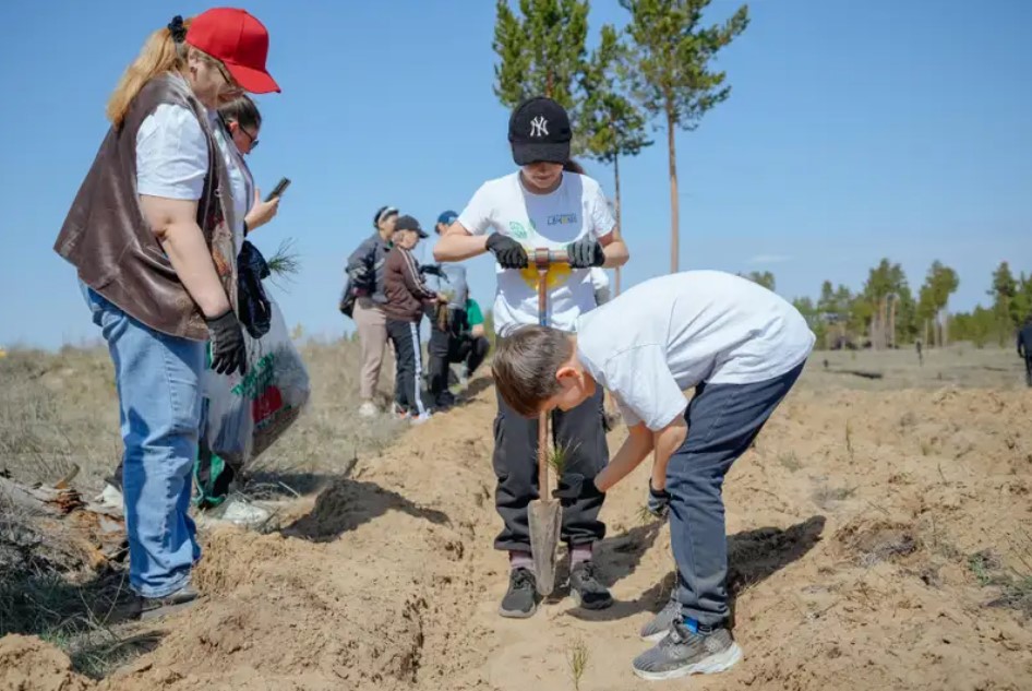 جاسىل ورمان – جانعا سايا