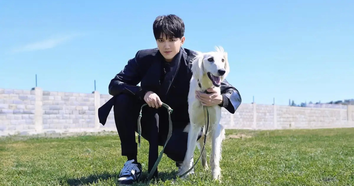 سەنىمدى سەرىگىمە اينالدى: ديماش قۇدايبەرگەن پرەزيدەنت سىيعا تارتقان تازىنى كورسەتتى