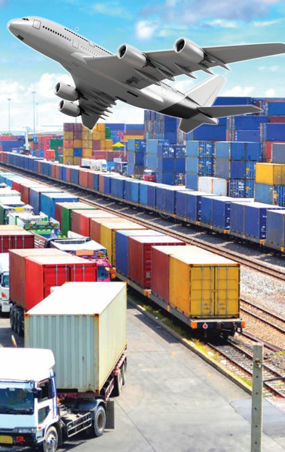 تاسىمال سالاسىندا ينۆەستيتسيا ۇلعايدى