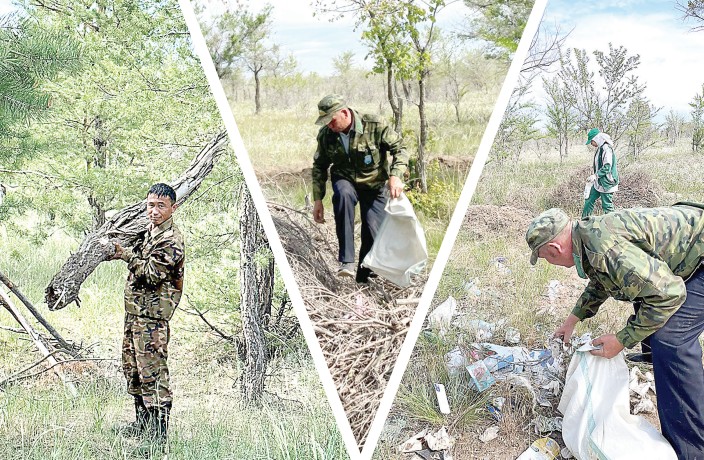 ورمانشىلار قولعابىسى