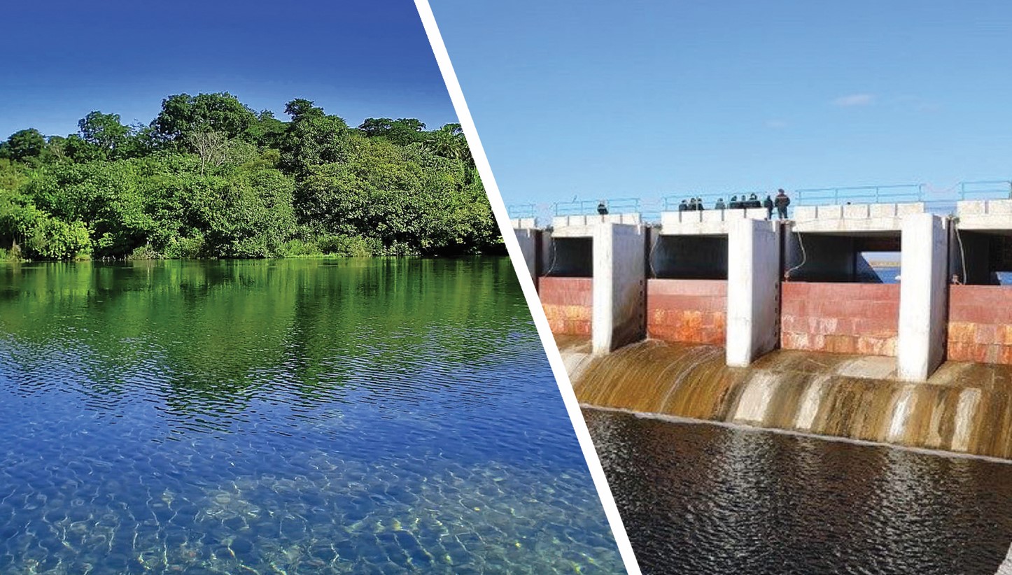 مەليوراتسيا ماماندارىن دايارلاۋدىڭ جاڭاشىل جۇيەسى كەرەك