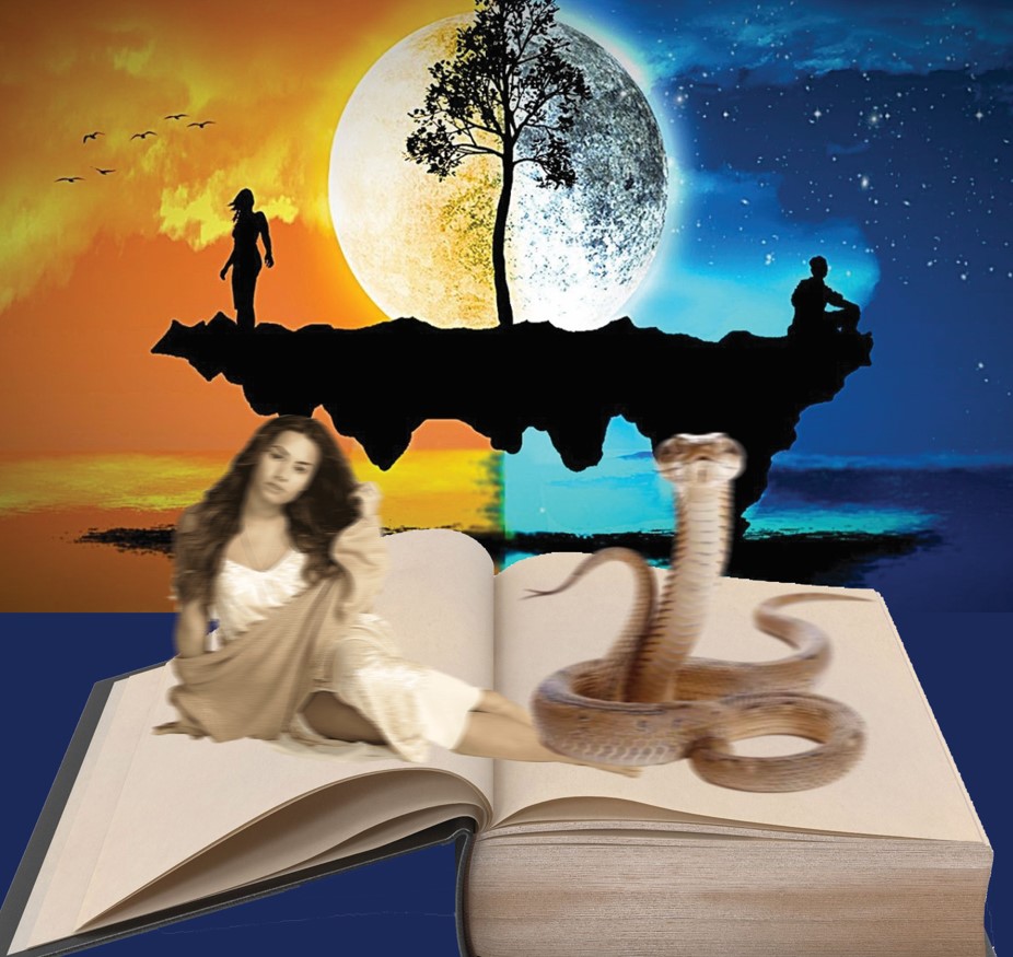 «تارىمشىنى» تاراتا زەردەلەگەندە