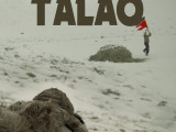 تالابى تاۋداي «Talaq»