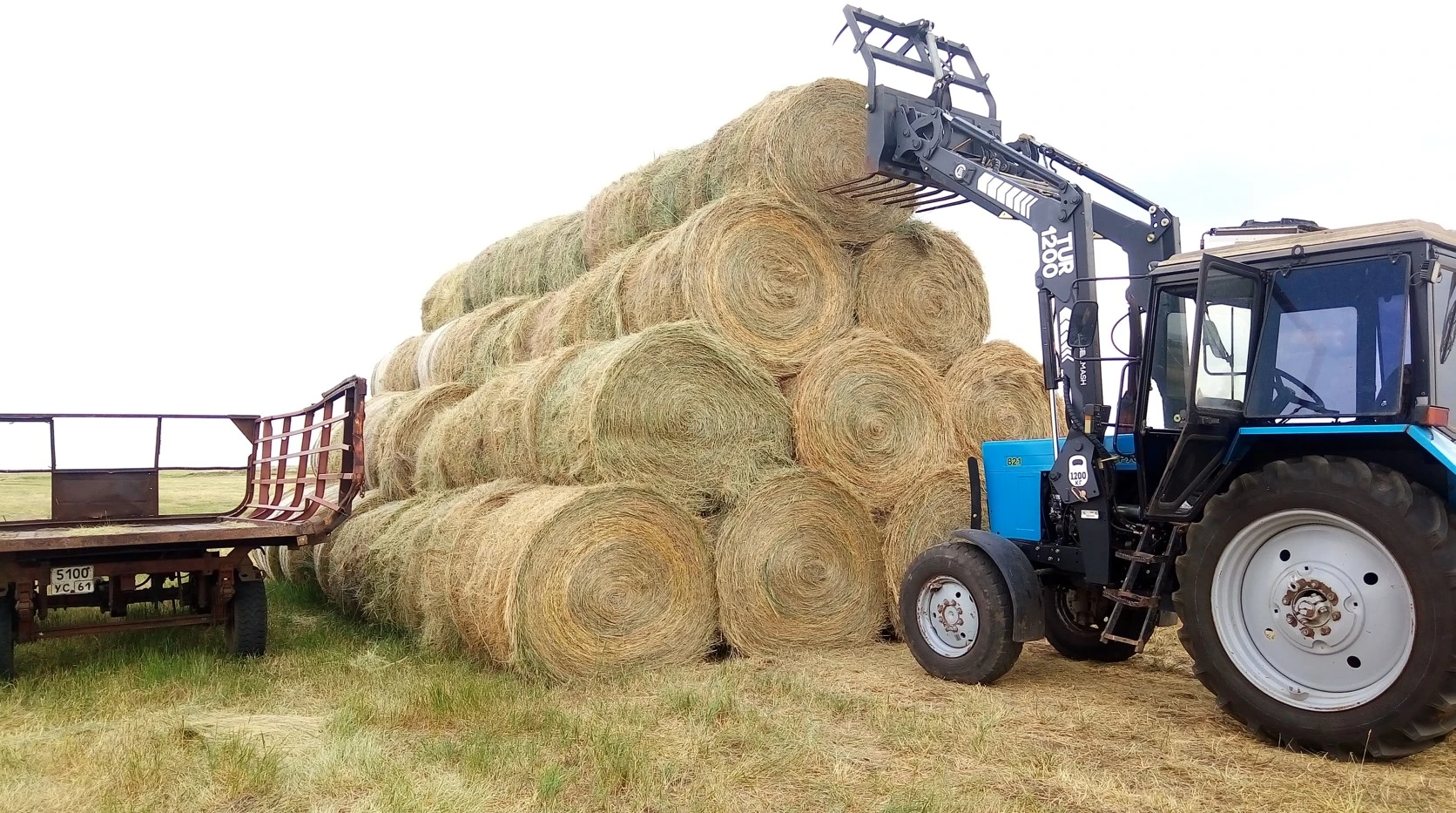 جەمشوپتىڭ جاي-جاپسارى