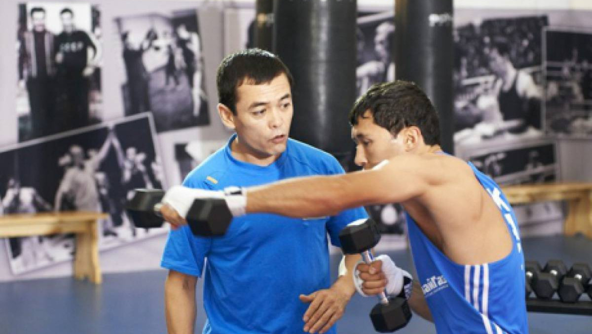 باپكەردىڭ بەرىك بايلامى