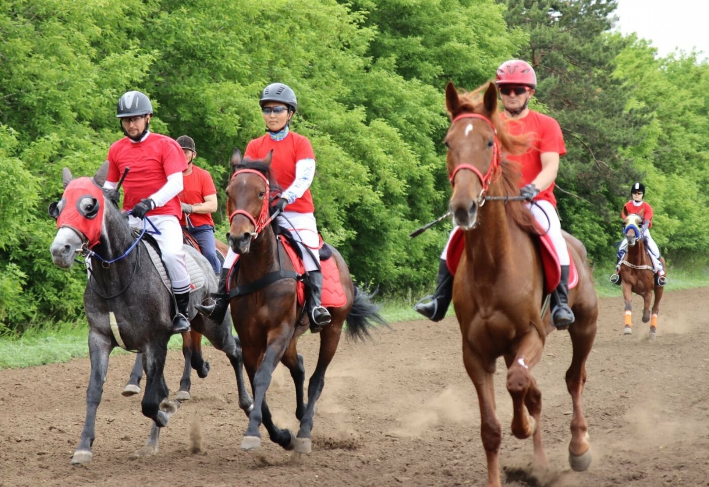 مىنسەڭ ات, شاپساڭ جۇيرىك, قايران ءدۇلدۇل...