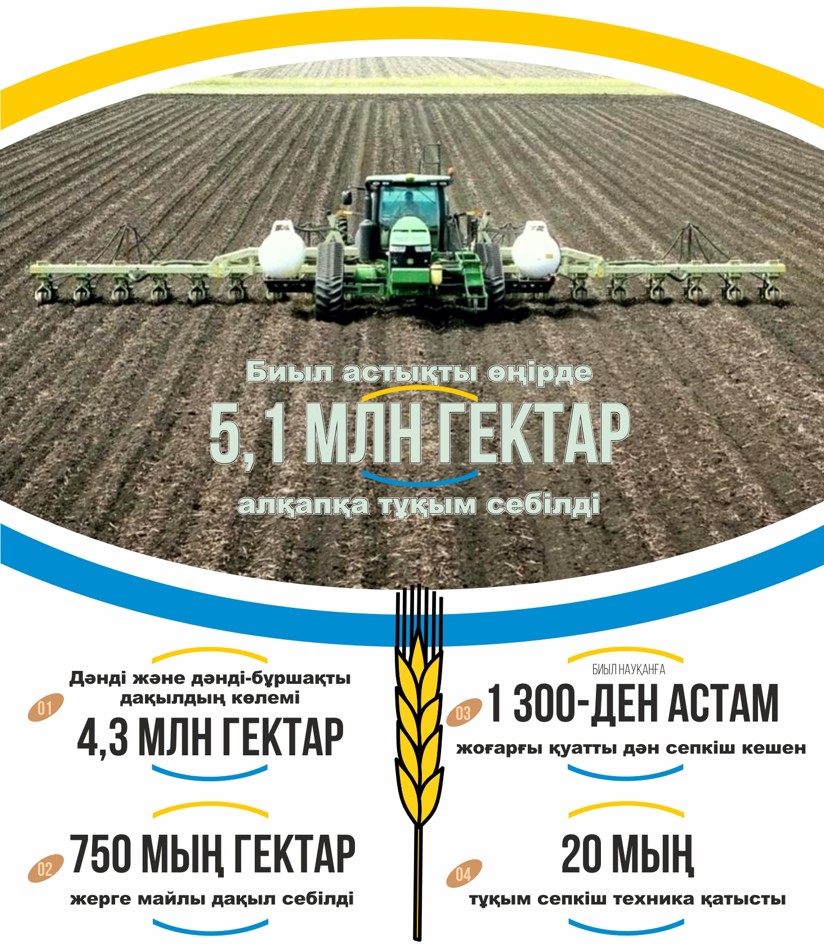قوستانايدا كوكتەمگى ەگىس ناۋقانى اياقتالدى