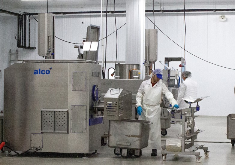 زامانا تىنىسىنا ساي زاۋىت