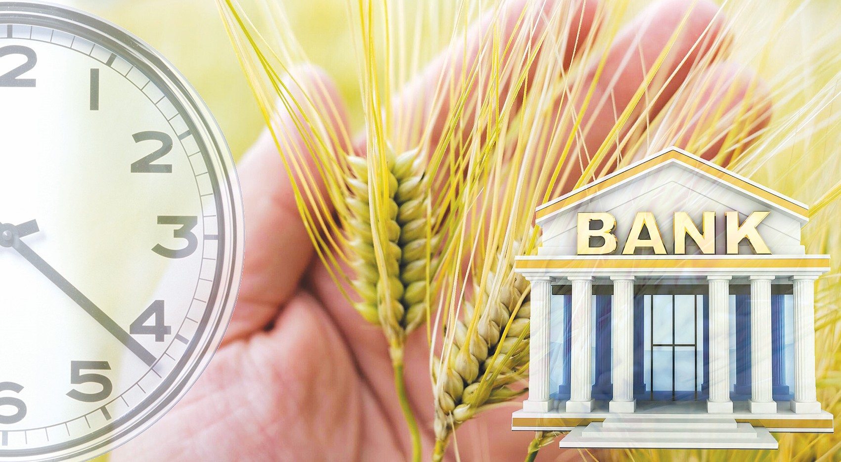 اگروبانك ماسەلەسى بايىپتالىپ جاتىر