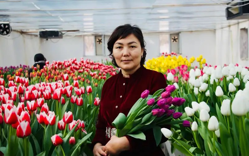 قىزعالداق – عىلىم تاقىرىبى