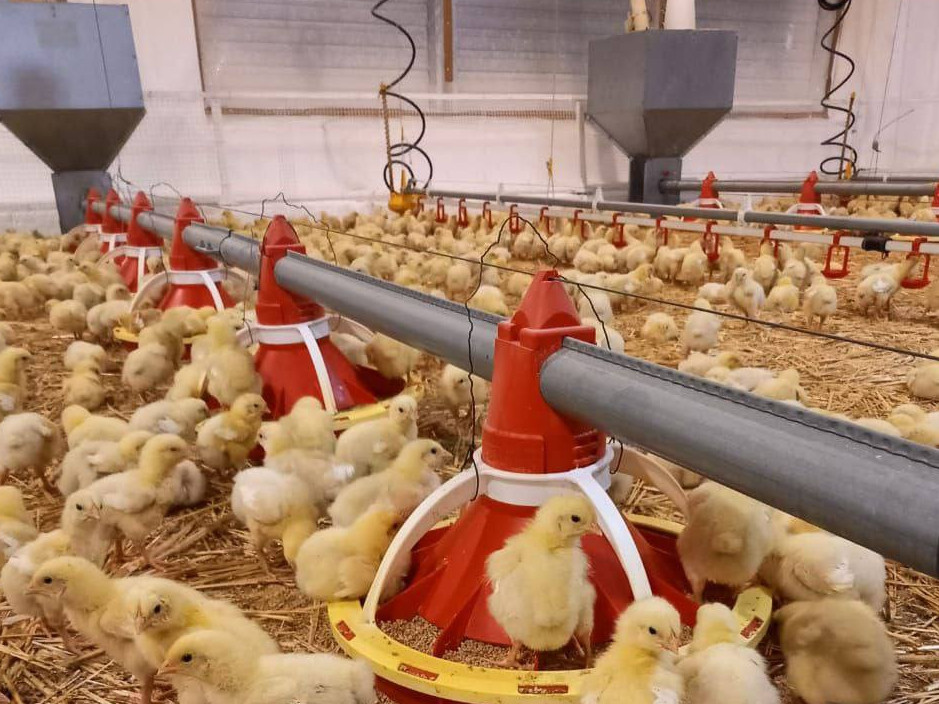 شارۋاشىلىعى شالقىعان كۇن تۋار