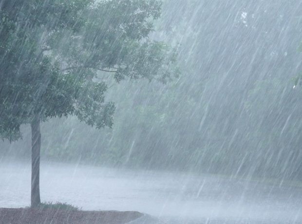 الداعى كۇندەرى ەلىمىزدىڭ باسىم بولىگىندە جاڭبىر جاۋادى