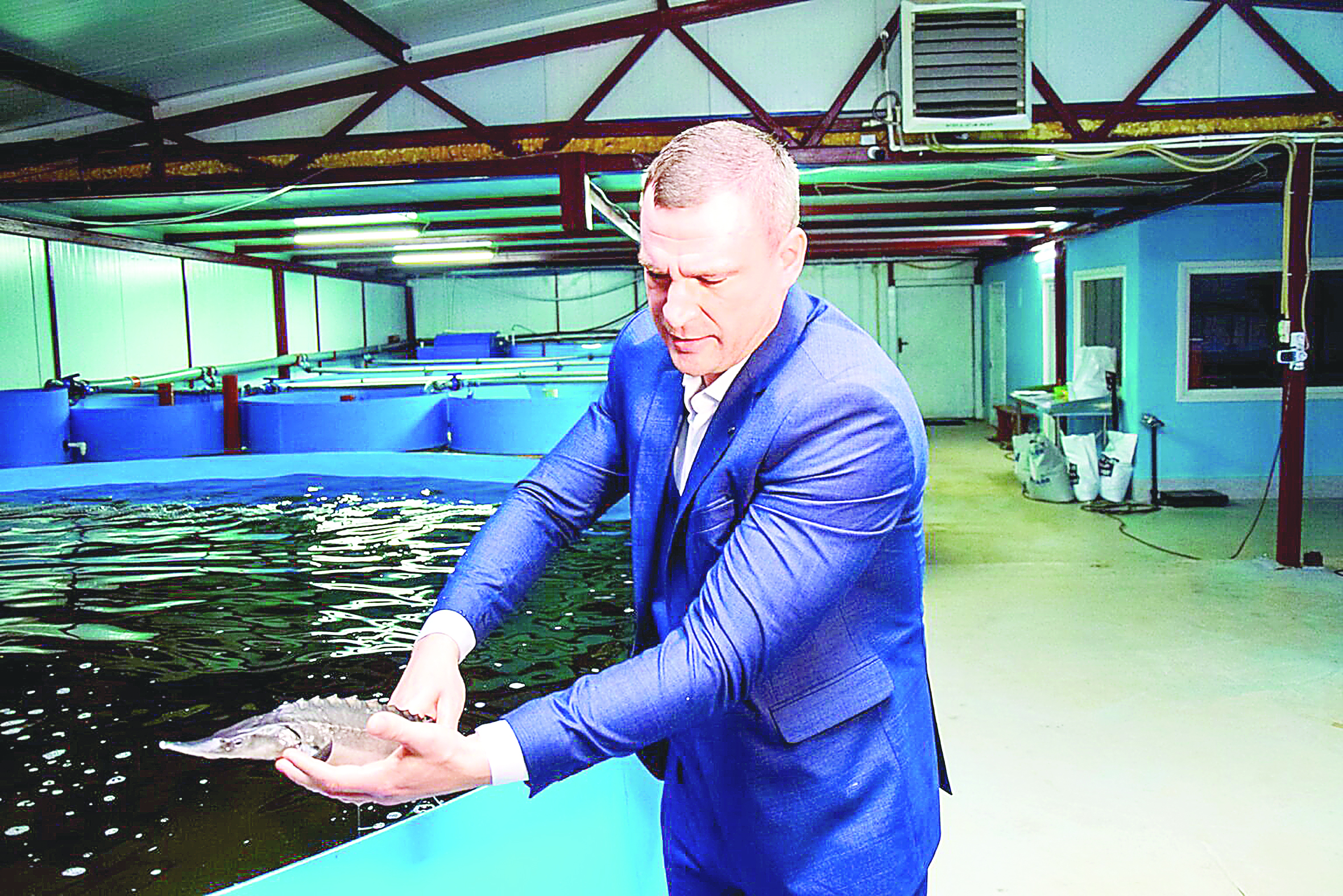 بەكىرە – بەرەكەلى بيزنەس