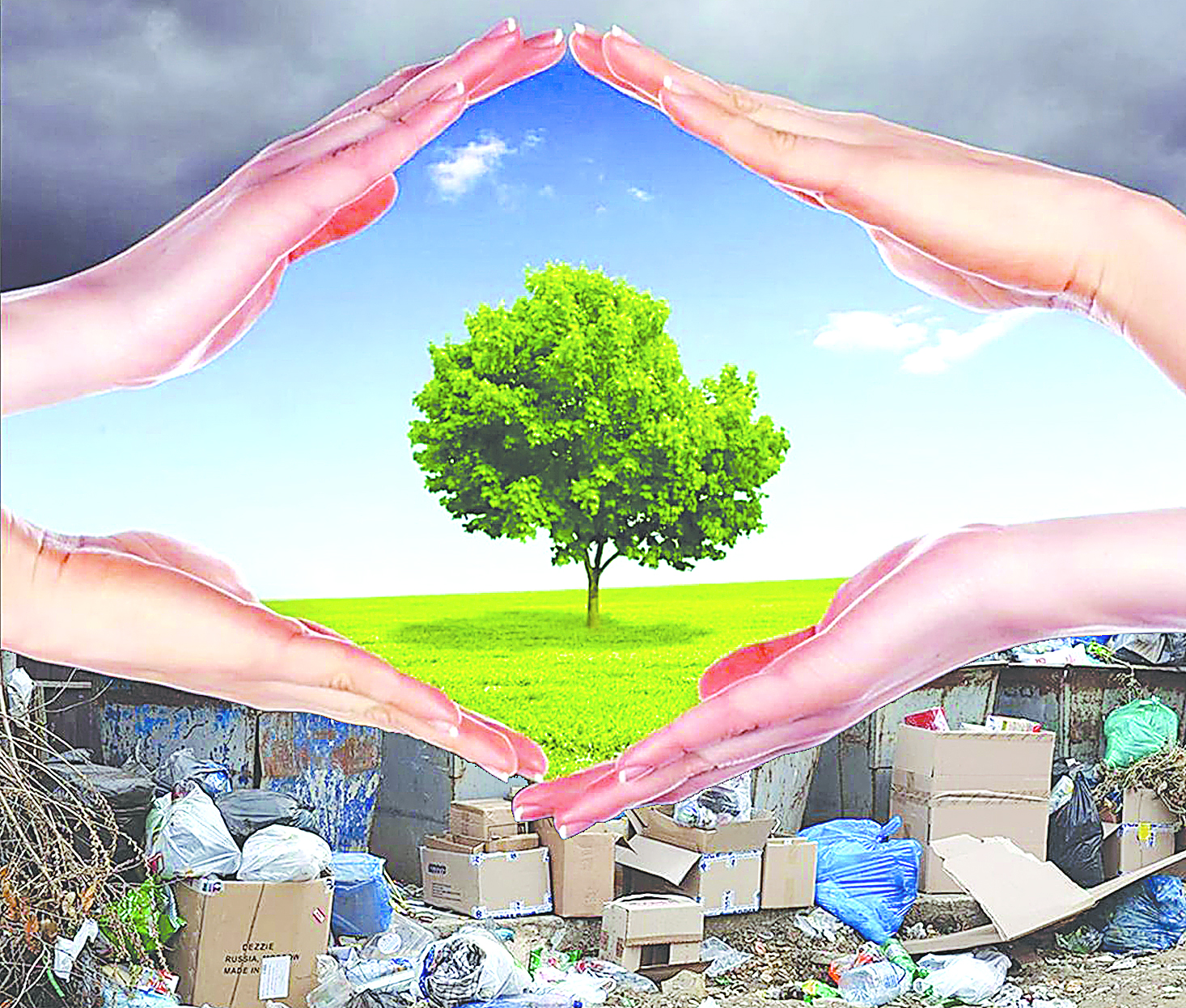 تابيعاتتى تاربيەمەن ايالاۋ