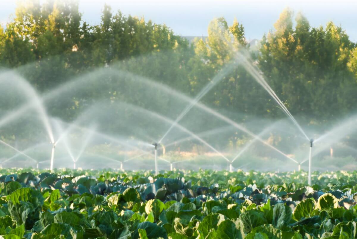 ەلىمىزدە اۋىل شارۋاشىلىعىنا قانشا سۋ جۇمسالادى