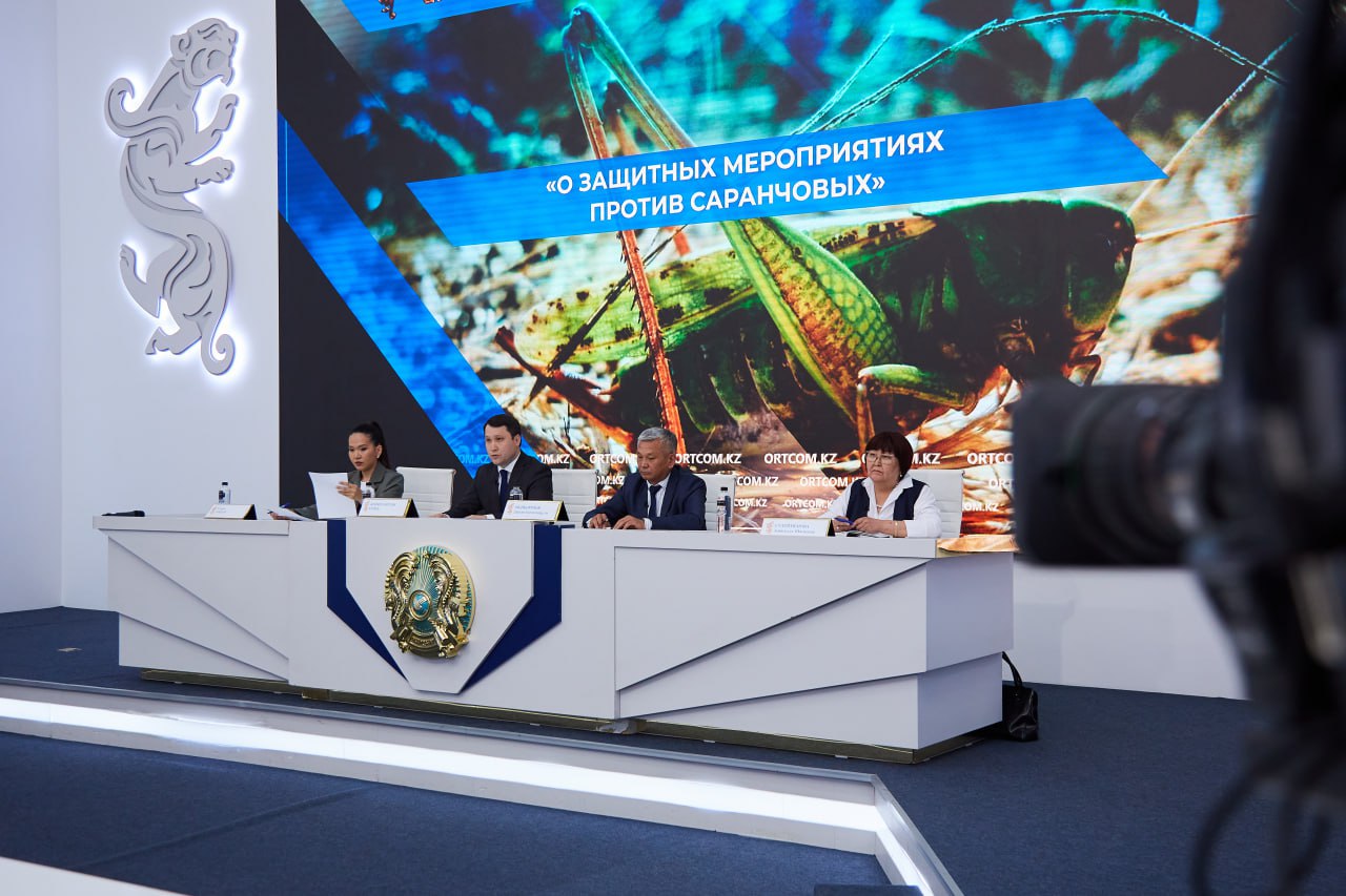 بىرنەشە وڭىردە ءۇيىرلى شەگىرتكەگە قارسى كۇرەس اياقتالدى