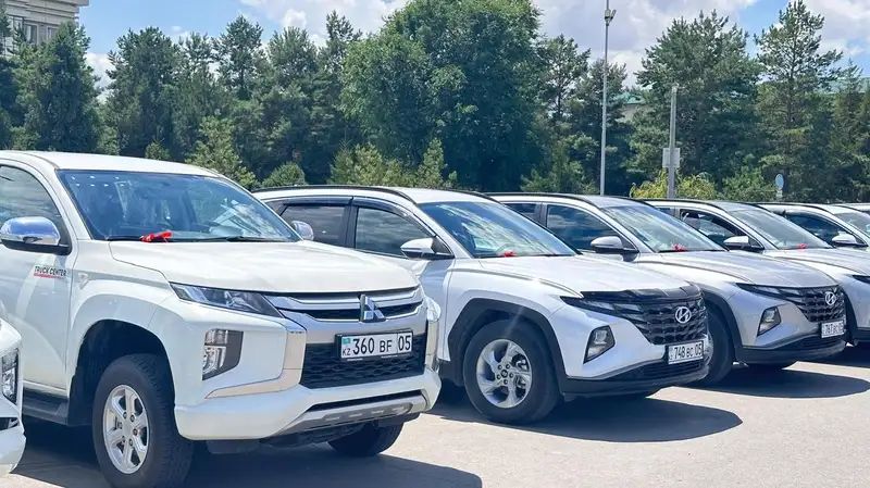 ۆەتەرينارلار كولىك جاڭارتتى