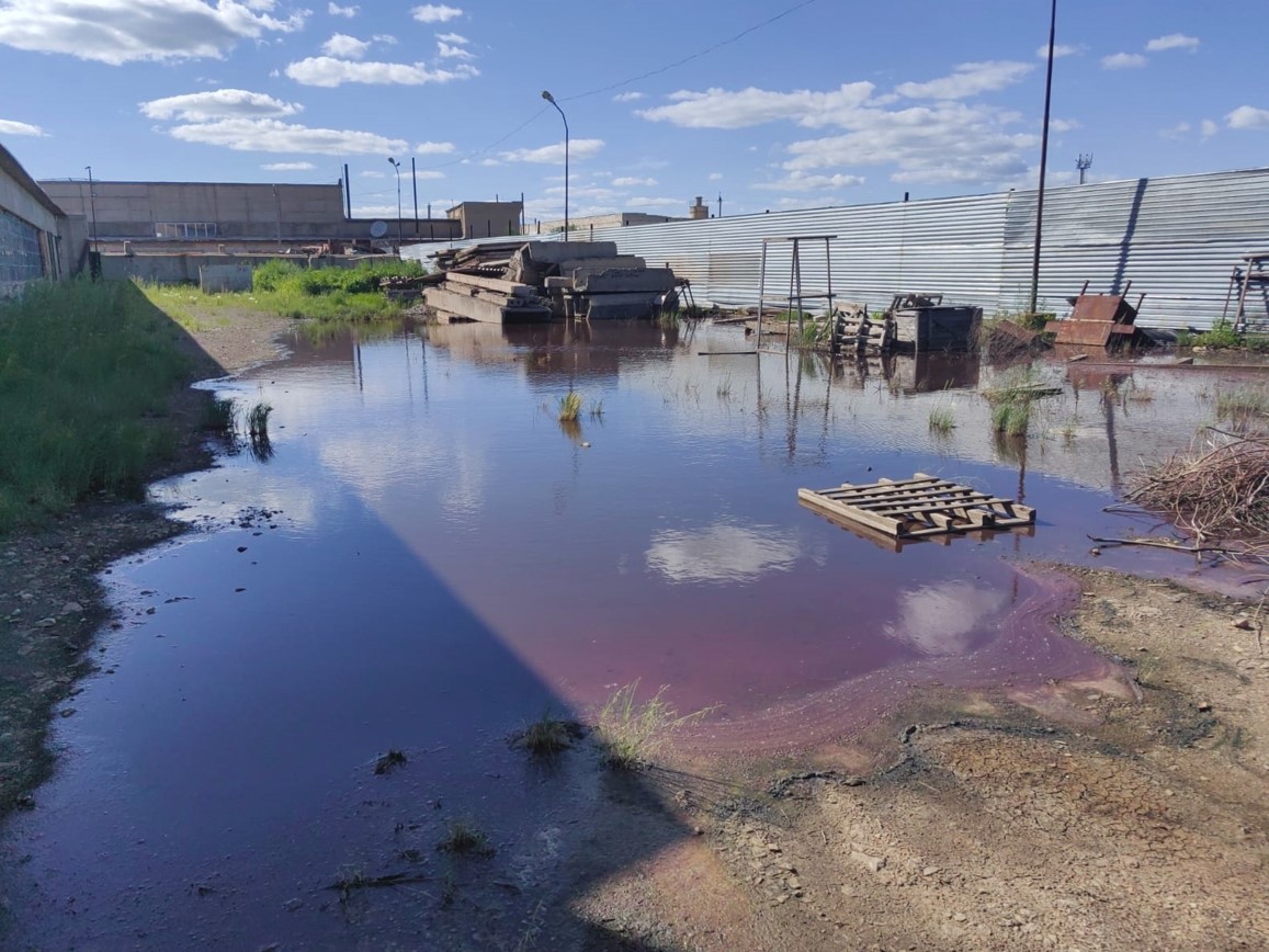 تازا اۋا جۇتۋ مۇڭ بولدى