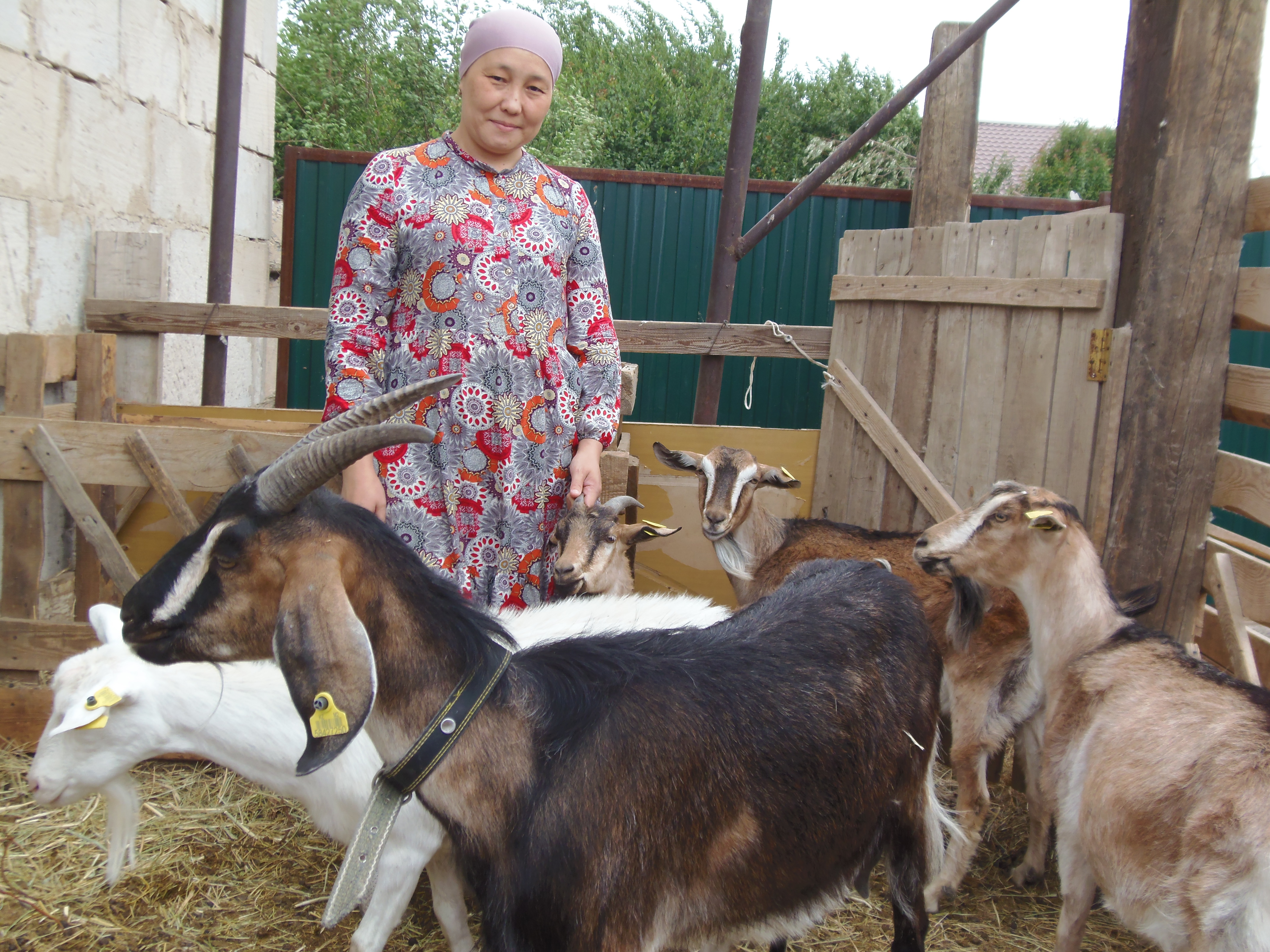 ەبىن تاپ تا, ەشكى باق!