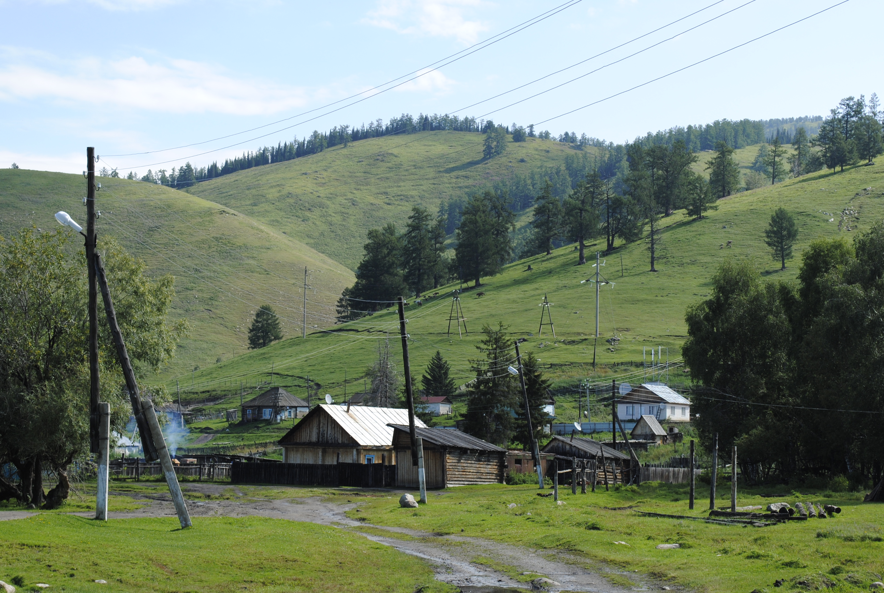 وڭتۇستىك مارقانى ماڭدايعا الدى