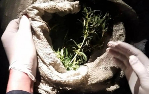 تاراز تۇرعىنى ءىرى كولەمدە ەسىرتكى تاسىمالداعان