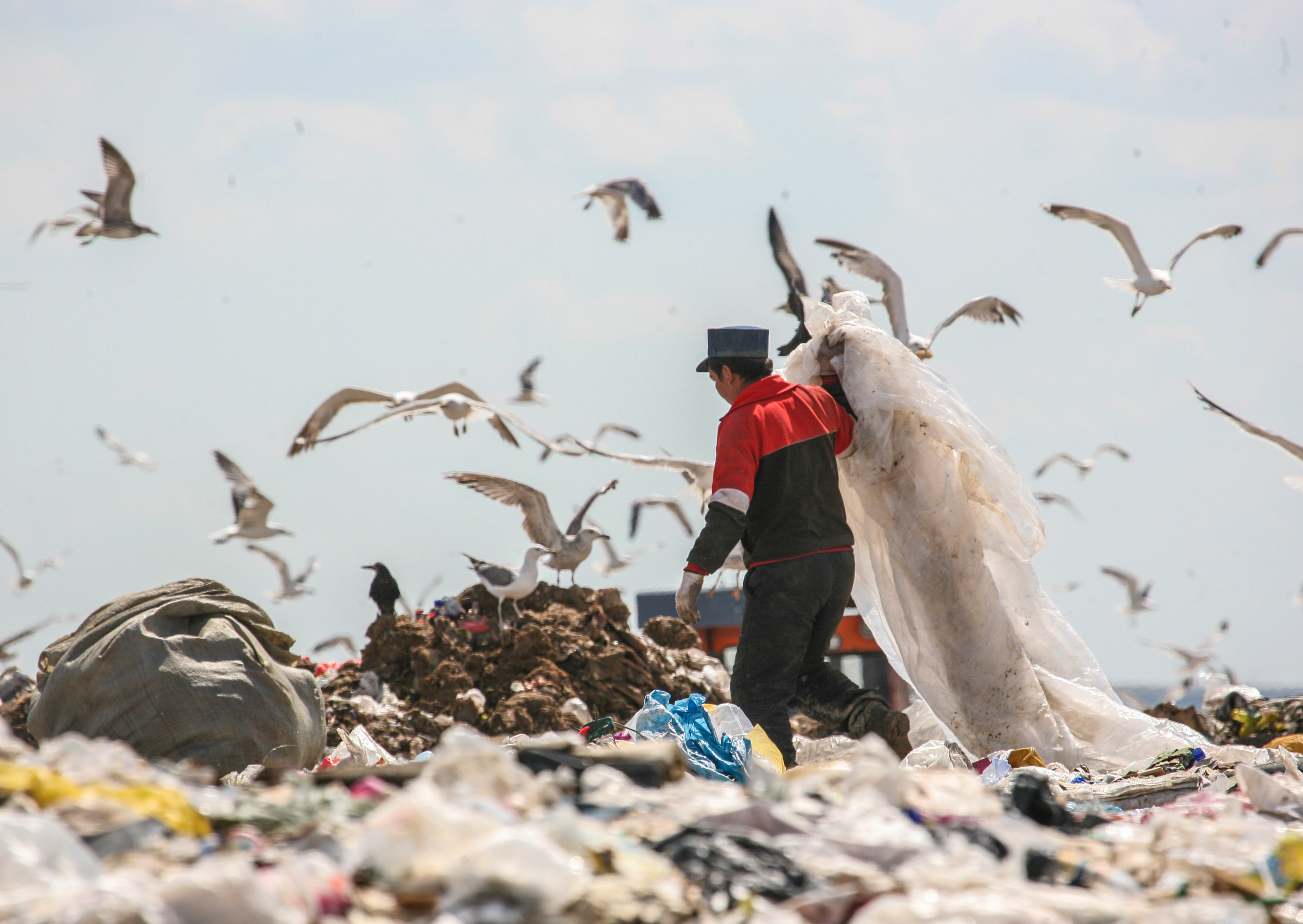 ميلليارد تەڭگە تاۋداي قوقىستى رەتتەي الا ما؟