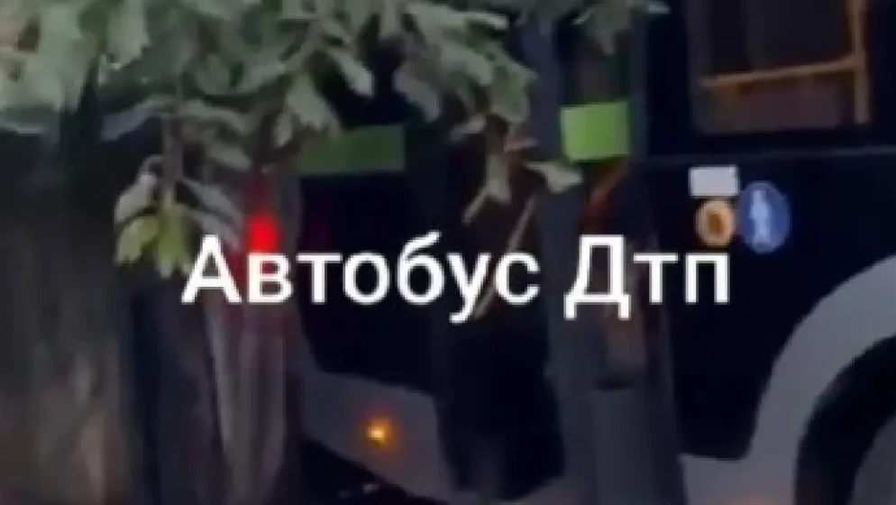 الماتىدا تاعى ءبىر اۆتوبۋس اپاتقا ۇشىرادى