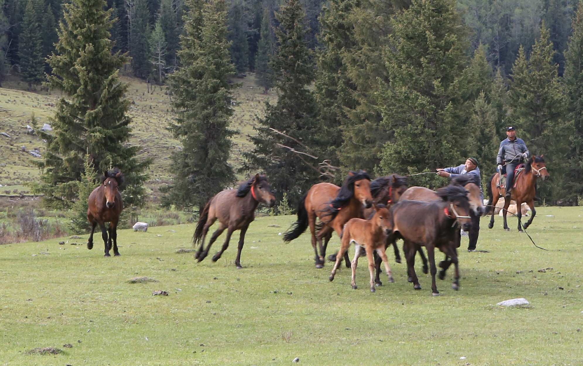 شالما تاستايتىندار قالدى ما وسى؟