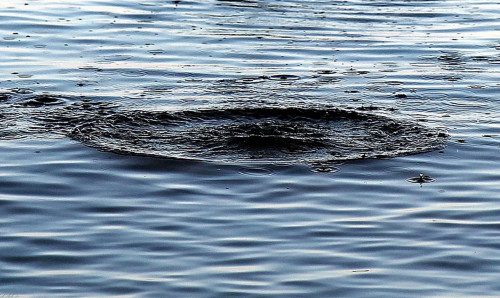 اتىراۋدا سۋعا باتىپ كەتكەن ەكىنشى بالانىڭ ءمايىتى تابىلدى