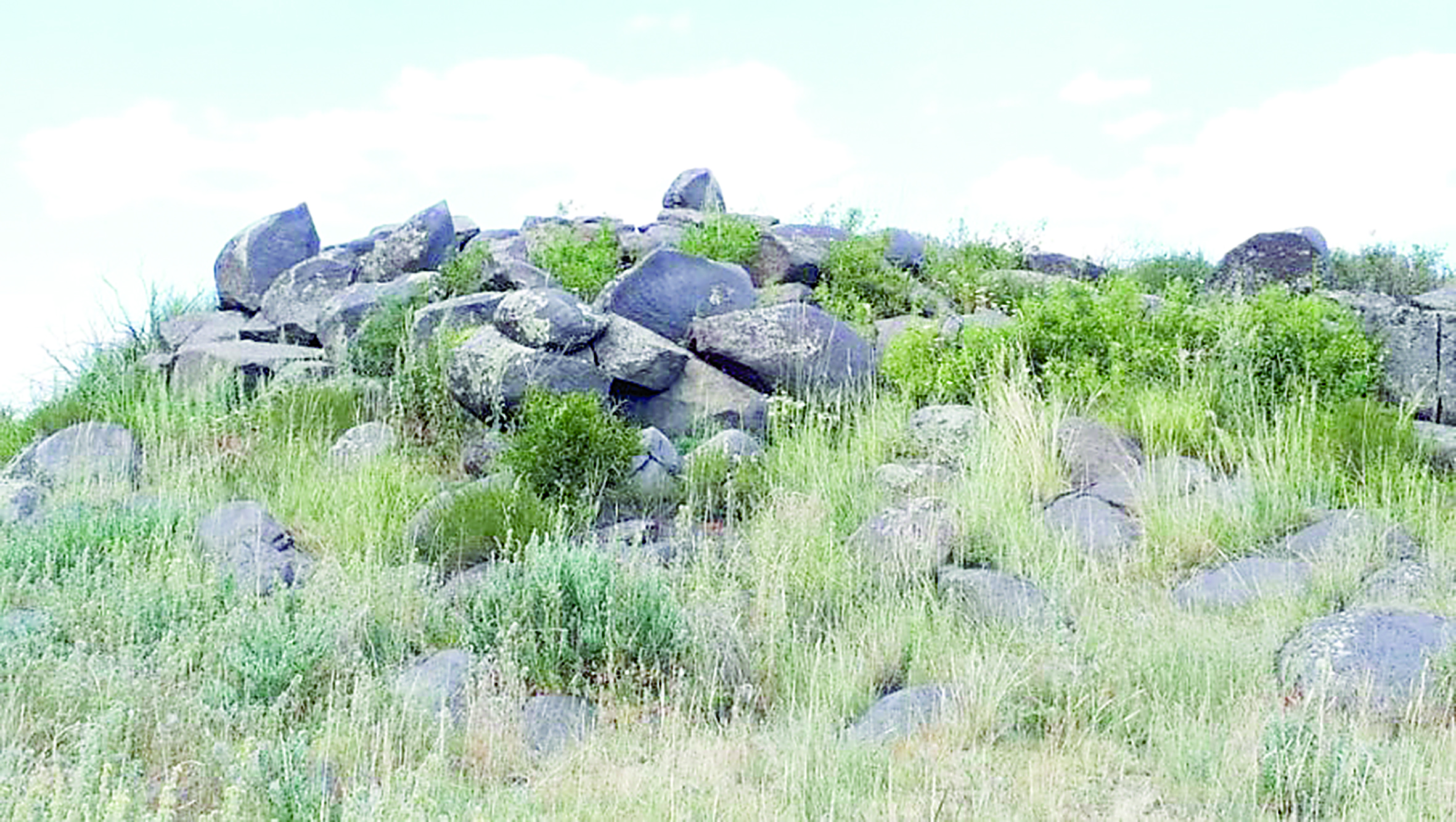 قوڭىراۋ تاستار