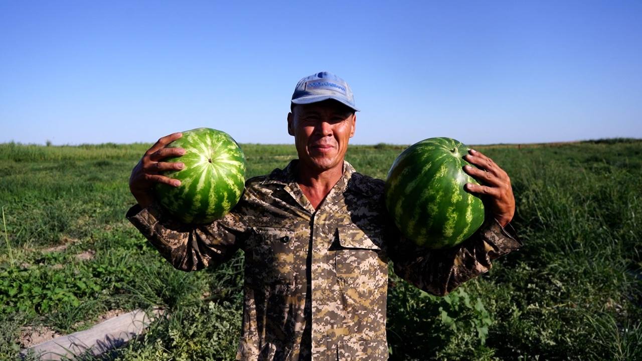 مينيسترلىك. تەلەگرام