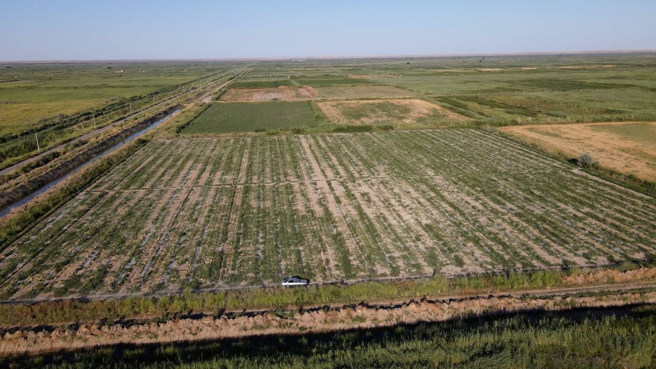 تۇركىستاندا سۋ مول, شارۋالار رازى