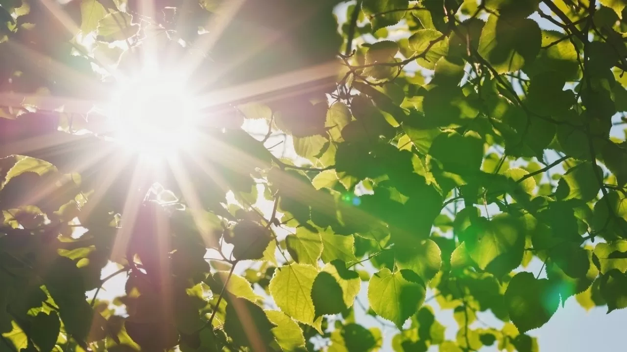 ەلىمىزدە 45 گرادۋسقا دەيىن اپتاپ ىستىق كۇتىلەدى