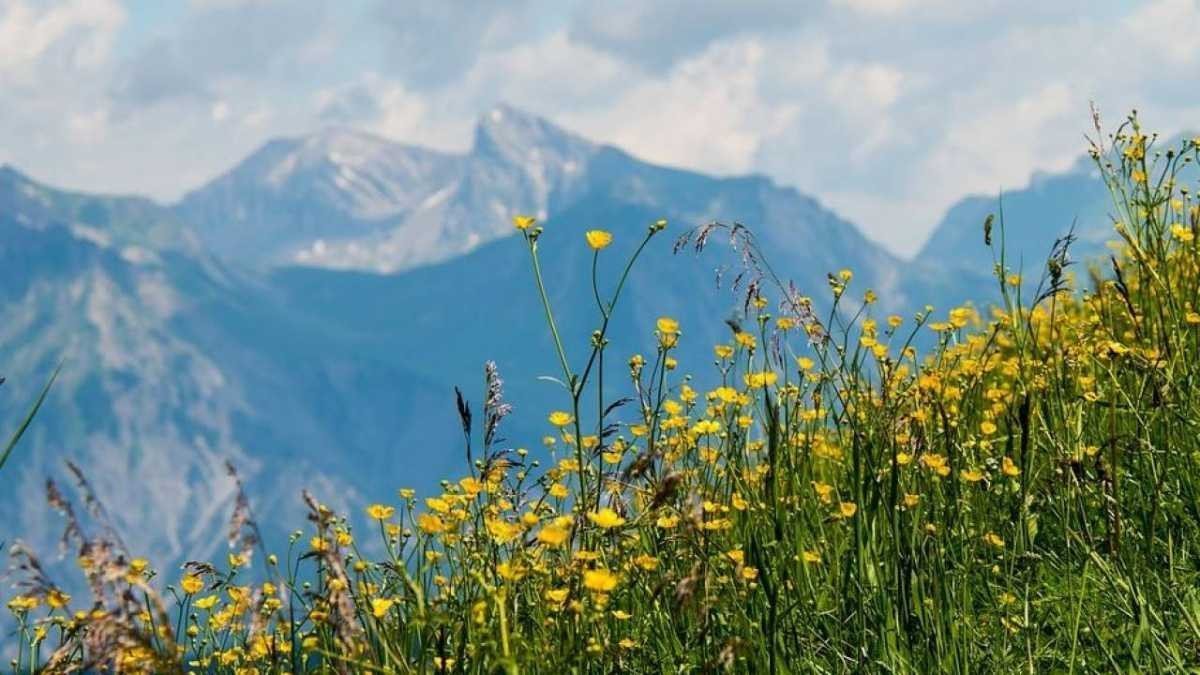 جازدىڭ سوڭعى ايىندا اۋا رايى قانداي بولادى