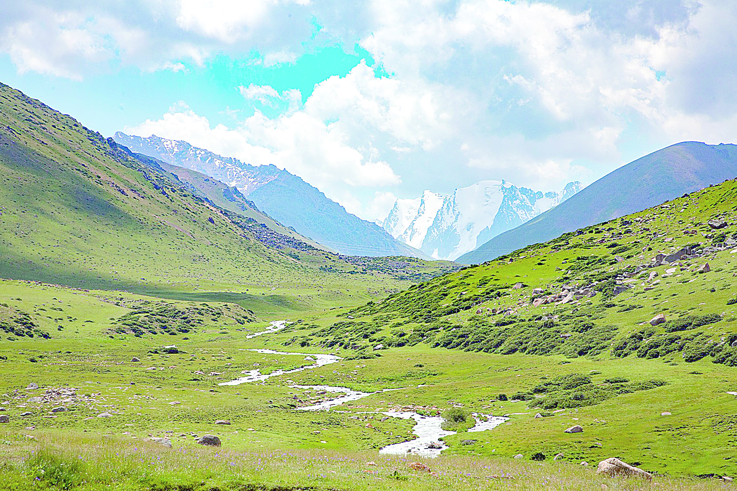 جەردىڭ كوركى – مەركى