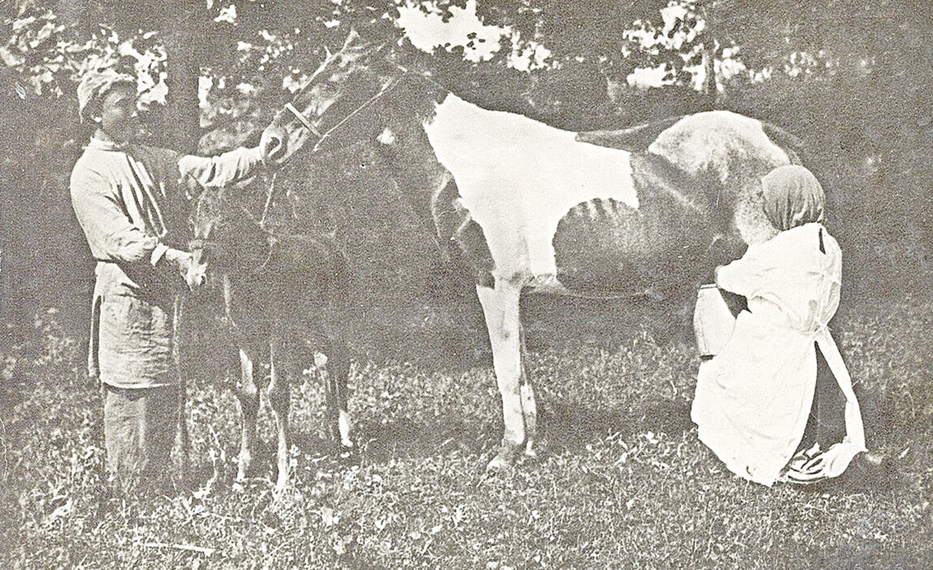 بيە ءسۇتى ەمى