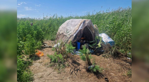 الماتى وبلىسىندا پوليتسيا ءۇش تونناعا جۋىق قاراسورا تاپتى