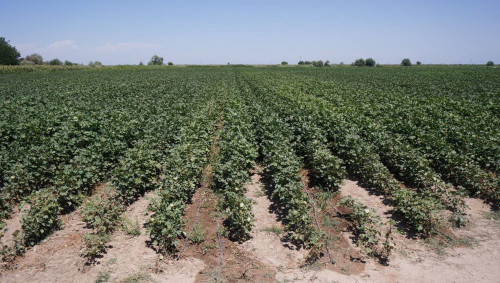 سۋ ۇنەمدەۋ جۇيەلەرىنە تولەنەتىن سۋبسيديا مولشەرى ۇلعايدى