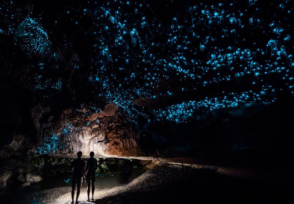 عالام عاجاپتارى: تابيعي ونەر سارايى