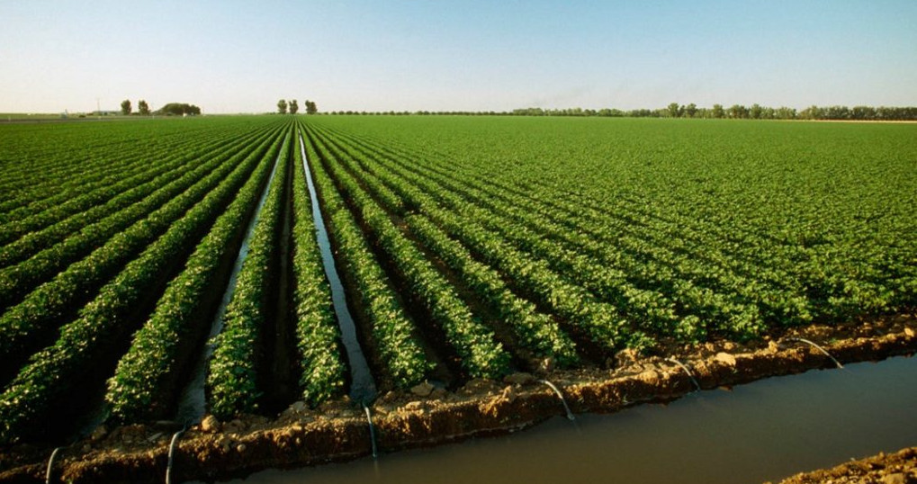 مەليوراتسيانىڭ كوكەيكەستى مىندەتتەرى