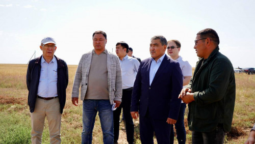 پاۆلوداردا سۋارۋ جۇيەلەرى قايتا جاڭعىرتىلادى